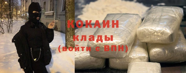 ECSTASY Бородино
