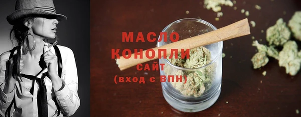 ECSTASY Бородино