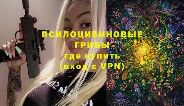 твердый Бронницы