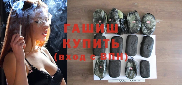 ECSTASY Бородино