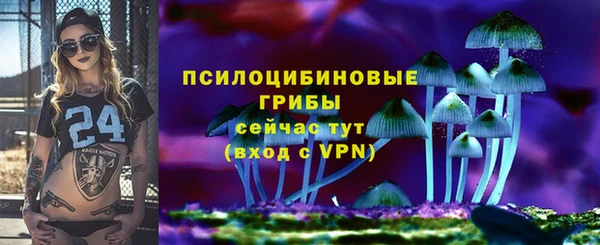 твердый Бронницы