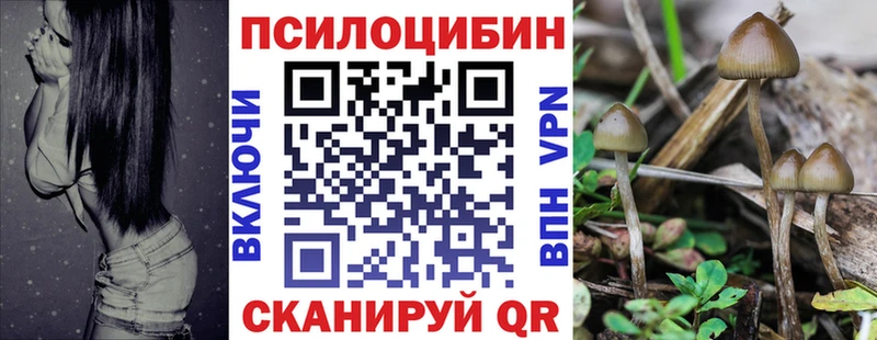 Псилоцибиновые грибы Psilocybe Дятьково
